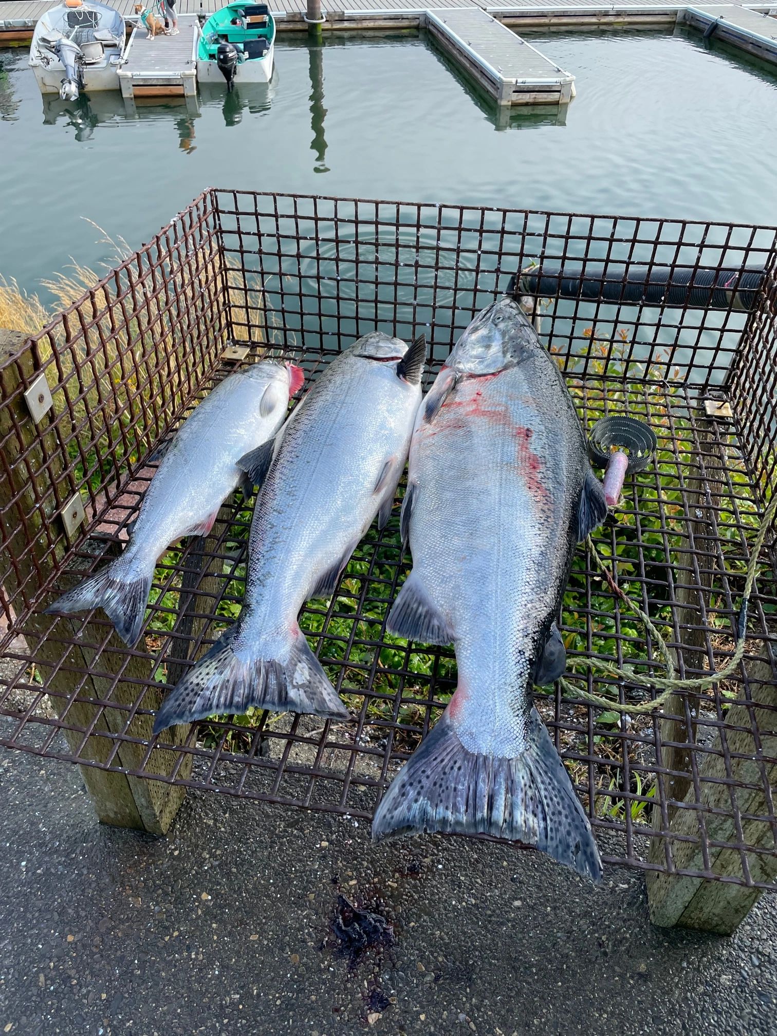 Photo 67 from the original fishing gallery