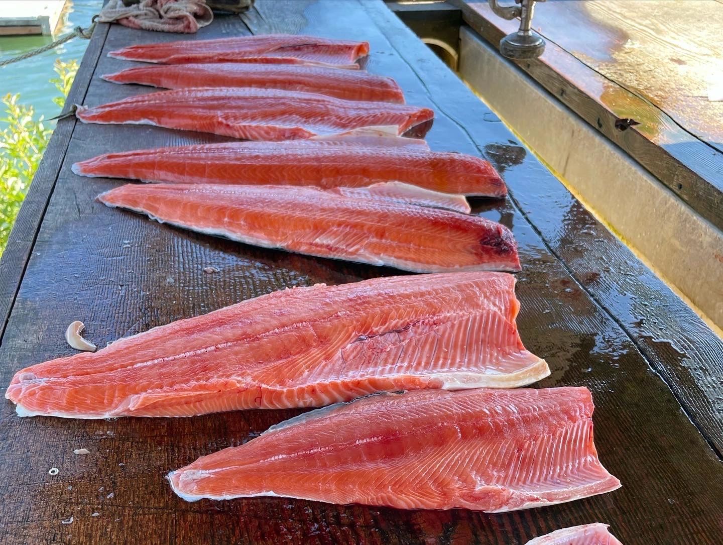 Photo 8 from the original fishing gallery
